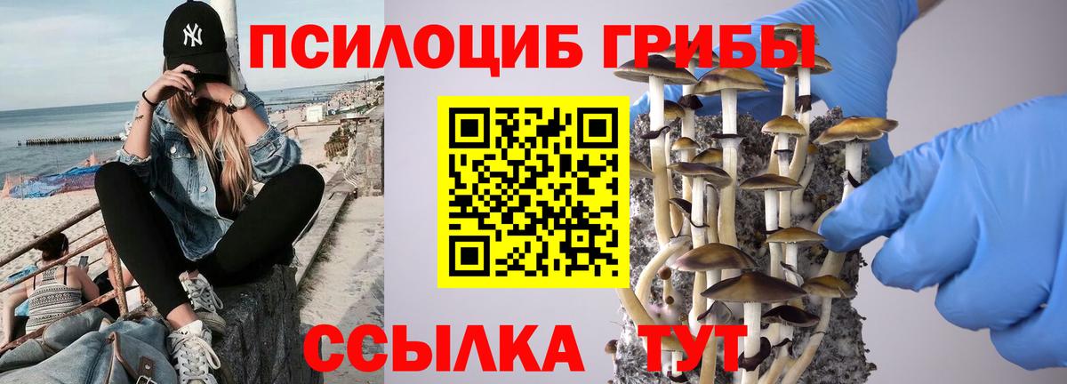 Псилоцибиновые грибы Magic Shrooms  Вход с VPN  Георгиевск 